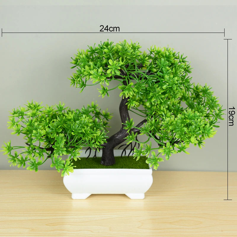 Bonsai Baum - Verschiedene Stile