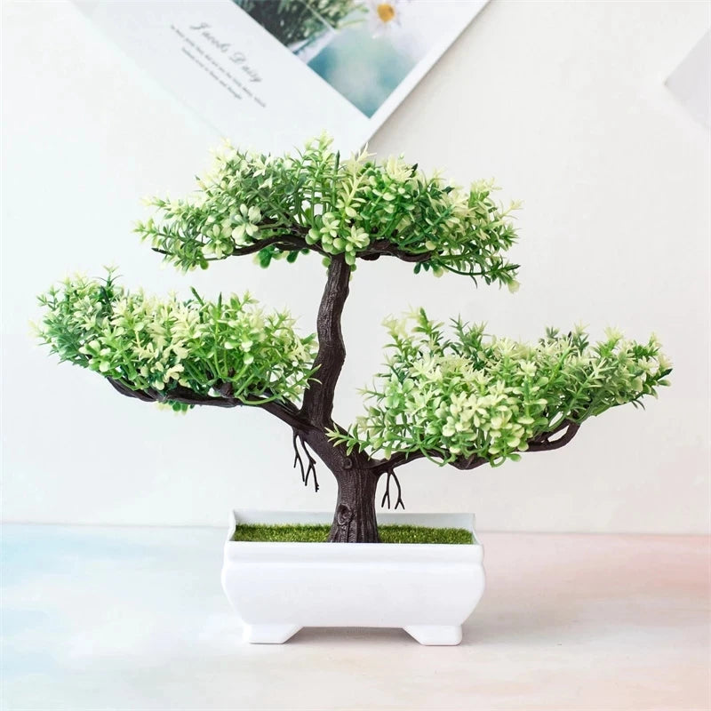 Bonsai Baum - Verschiedene Stile
