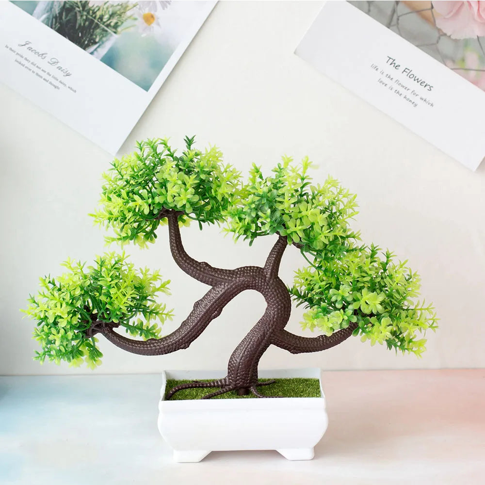 Bonsai Baum - Verschiedene Stile