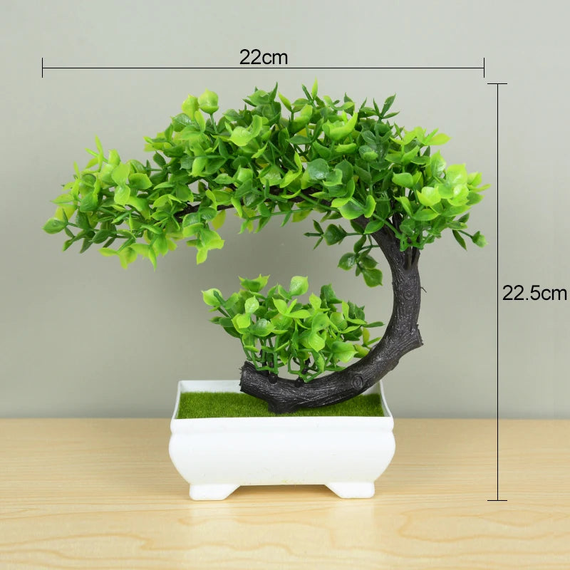 Bonsai Baum - Verschiedene Stile