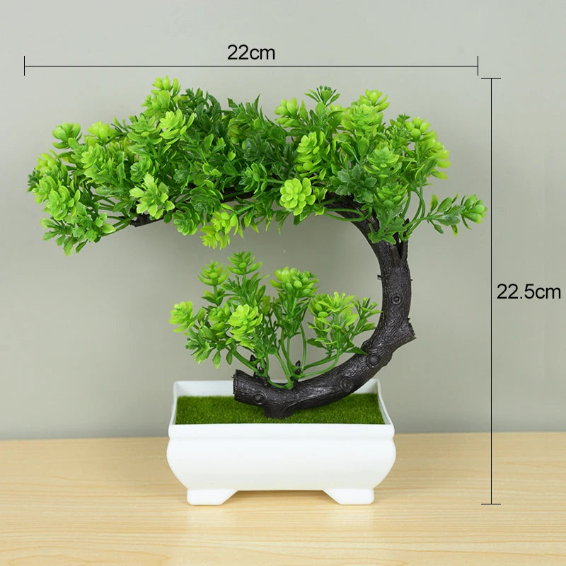 Bonsai Baum - Verschiedene Stile