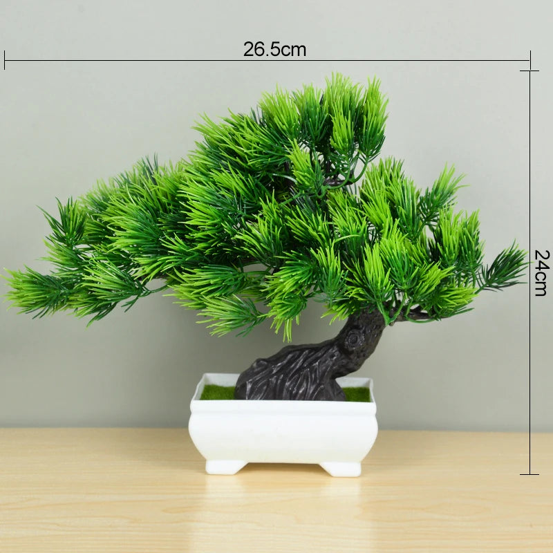 Bonsai Baum - Verschiedene Stile